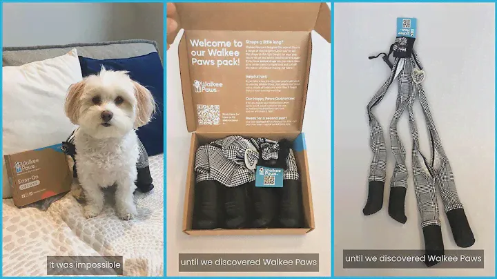 Finally dog boots that are easy to get on and stay on |Try new Deluxe Walkee Paws Dog Boot Leggings