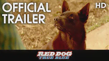 RED DOG: True Blue (2016) Teaser Trailer [HD]